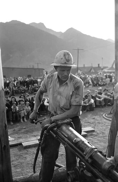 COLORADO: MINER, 1940. A gold miner participating in a drilling contest on Labor Day in Silverton