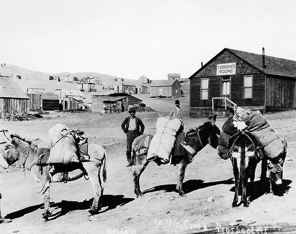 COLORADO: PROSPECTORS. Prospectors and their donkeys in Cripple Creek, Colorado