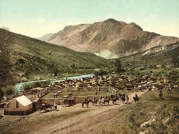 COLORADO: ROUND UP, c1898. Round Up on the Cimarron River in Colorado. Photochrome