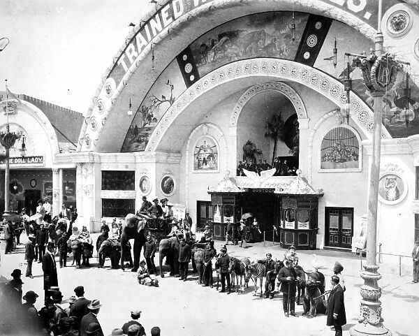 COLUMBIAN EXPOSITION, 1893. View of the midway at the Worlds Columbian Exposition at Chicago