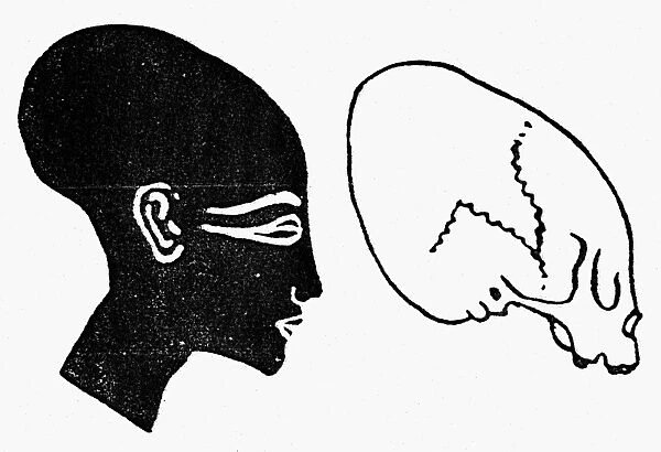 A comparison between an ancient Egyptian cranium of a person belonging to the ruling class and a cranium of a pre-Columbian Peruvian Indian