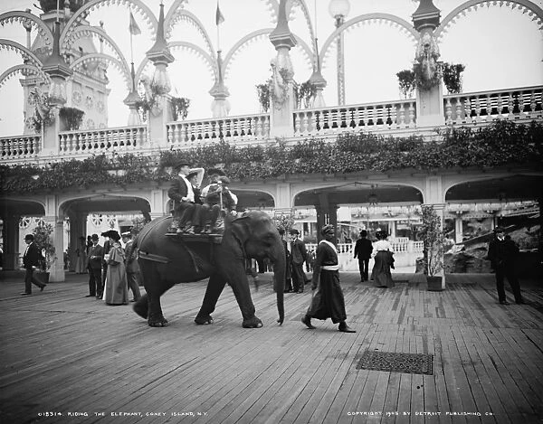 CONEY ISLAND: ELEPHANT RIDE. Elephant ride on the boardwalk at Coney Island, Brooklyn, New York