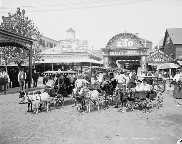 CONEY ISLAND: GOAT CARTS. The goat carriages at Coney Island, Brooklyn, New York