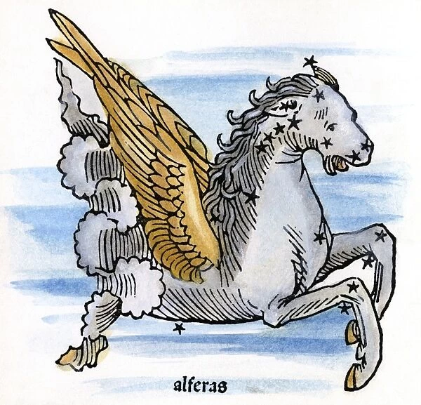 CONSTELLAION: PEGASUS. Figuration of Pegasus (Al Feras)