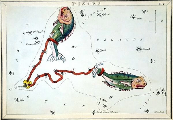 CONSTELLATION: PISCES. Figuration of Pisces (fish) by Sidney Hall from Uranias Mirror, London, 1825