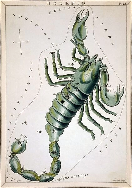 CONSTELLATION: SCORPIO. Figuration of Scorpio by Sidney Hall from Uranias Mirror, London, 1825