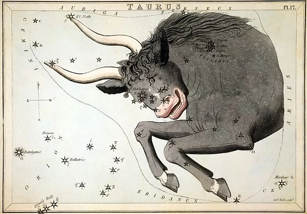 CONSTELLATION: TAURUS. Figuration of the constellation Taurus (bull). Line engraving by Sidney Hall from Uranias Mirror, London, 1825