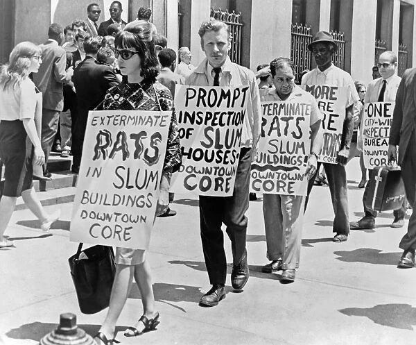 CORE PROTEST, 1964. Members of the Congress of Racial Equality protesting slum