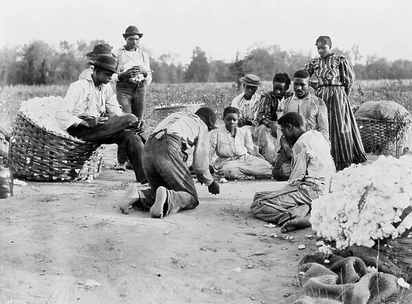 COTTON PICKERS, 1900. African American migrant workers resting and shooting dice