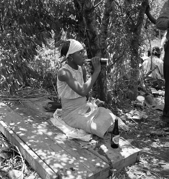 COTTON WORKER, 1937. An African American cotton hoer drinking a bottle of soda