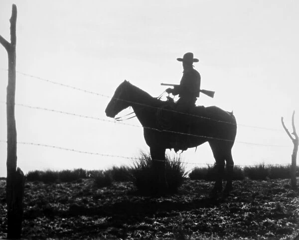 THE COWBOY, 1954. A scene from the 1954 film, The Cowboy