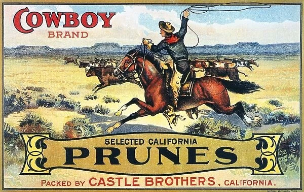 COWBOY HERDING CATTLE. Lithograph fruit-crate poster, 1906, for California Cowboy brand prunes