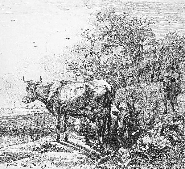 THE COWHERD, 1649. Reproduction of an etching, 1649, by Paulus Potter