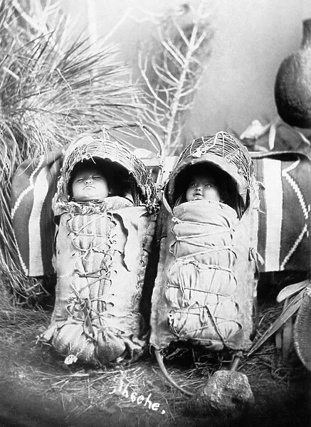 CRADLEBOARDS, 1916. Native American, possibly Apache, babies in cradleboards. Photograph