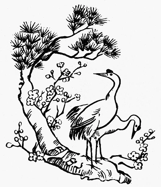 CRANES AND PINE TREE. Chinese symbol of longevity. Line engraving