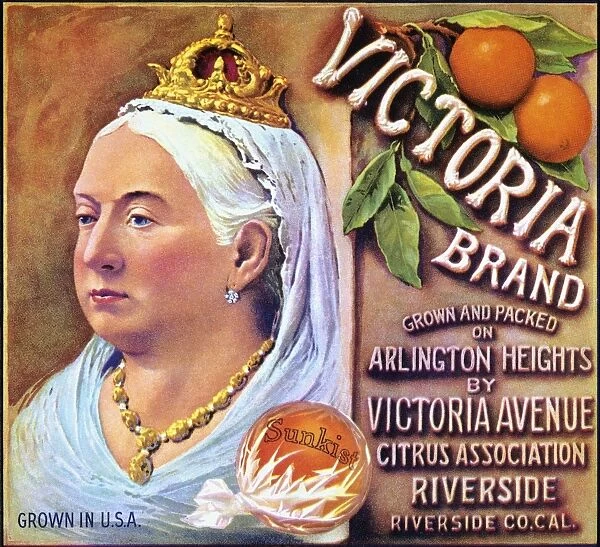 CRATE LABEL, 20th CENTURY. For Victoria brand oranges from California