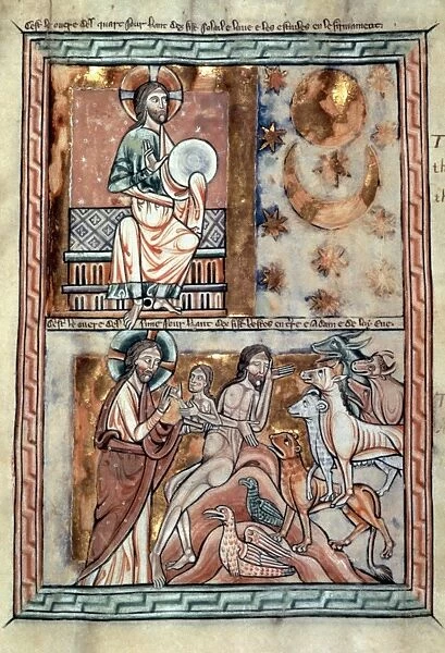 CREATION, c1215. The Creation: illumination from an English Psalter, c1215