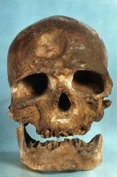 CRO-MAGNON SKULL. Frontal view of skull of Cro-Magnon Man