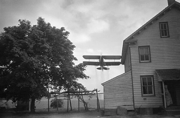 CROP DUSTING, 1938. A crop-dusting airplane over Seabrook Farms, between Bridgetown and Vineland