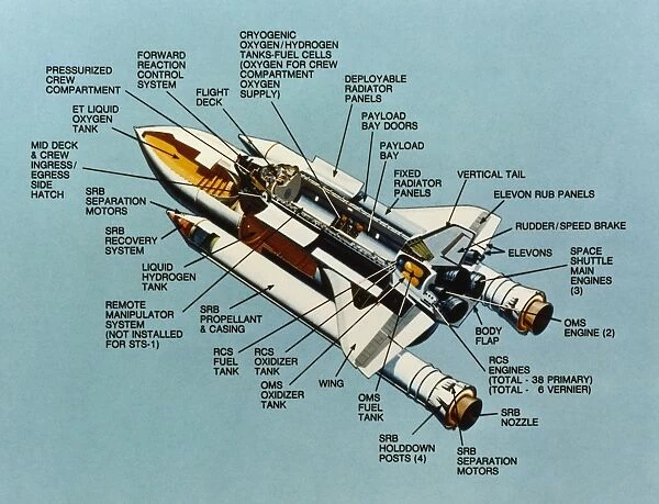 Cutaway view showing all of the components of a NASA space shuttle. Illustration, 1981