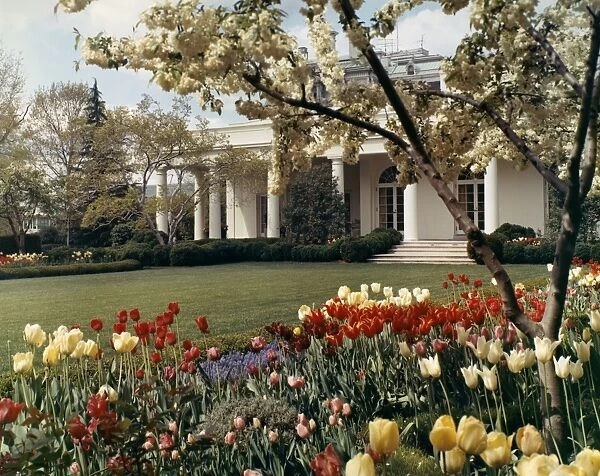 D. C. : WHITE HOUSE, c1970. The White House in Washington, D. C. in the spring, c1970