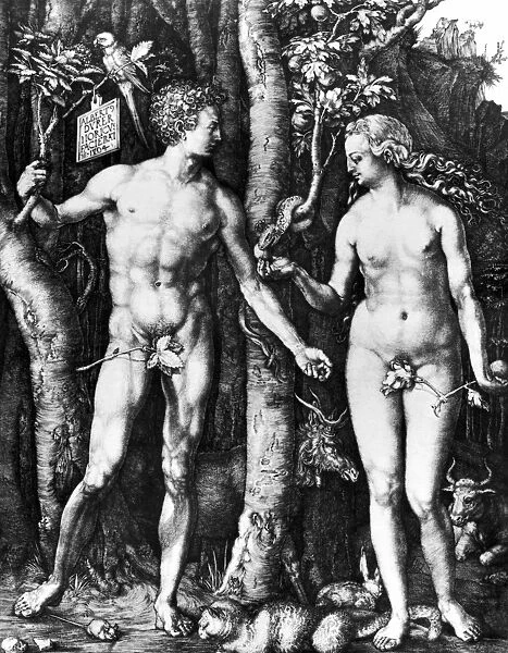 D├£RER: ADAM & EVE, 1504. Line engraving by Albrecht D├╝rer, 1504