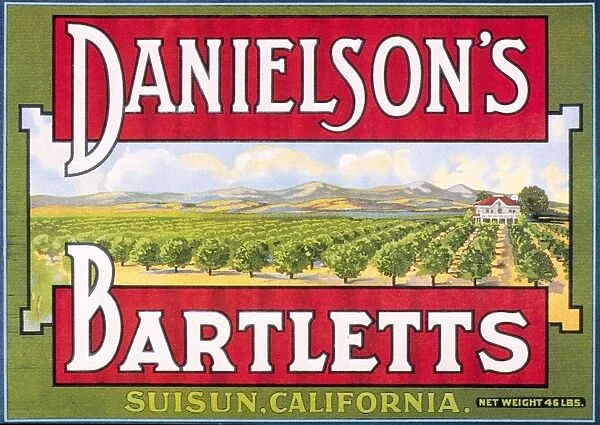 Danielsons Bartlett pears from California