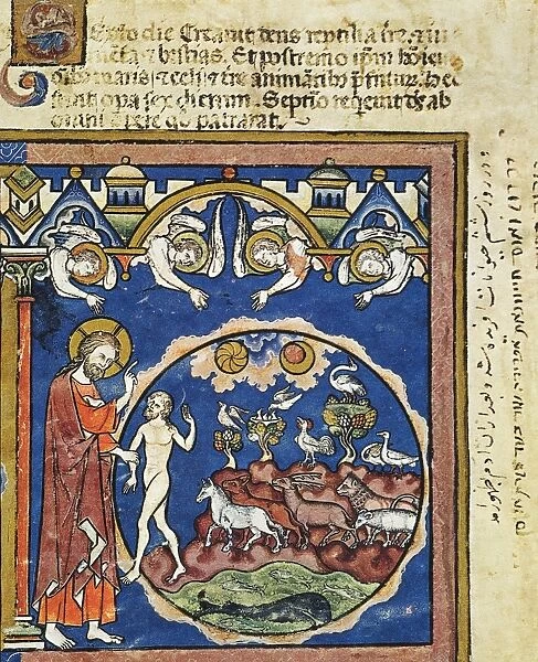 DAY SIX OF CREATION. The sixth day of creation (Genesis 1: 24-31). French manuscript illumination, c1250