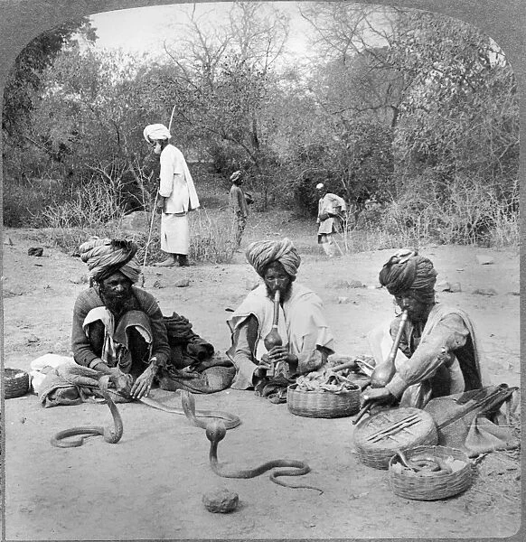 DELHI: SNAKE CHARMERS. Snake charmers handling the hooded cobra, Delhi, India, stereograph c1903