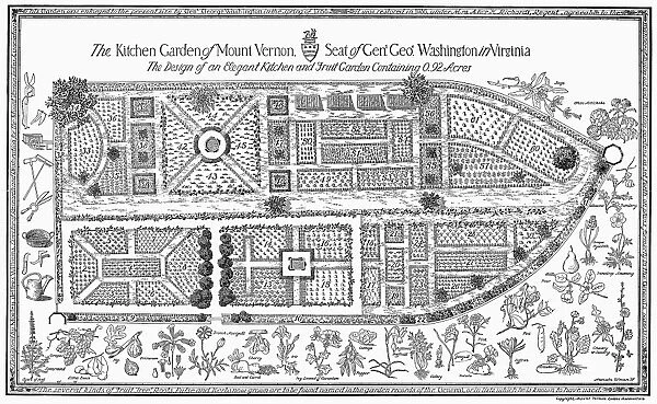 Diagram of the garden of George and Martha Washington at their home at Mount Vernon, Virginia. Diagram, early 20th century