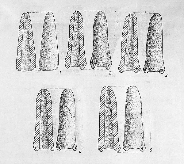 Diagram illustrating clay phallic figures of the Cucuteni culture, from Valeni-Neamt, northeastern Romania, 3000-2600 B. C
