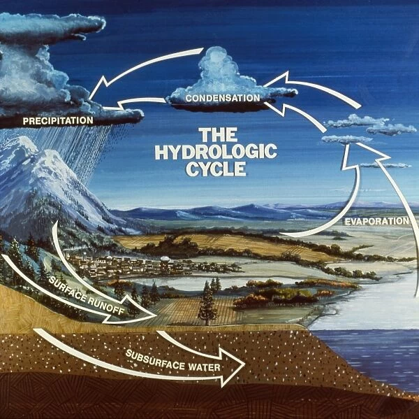 Diagram of the water cycle, late 20th century