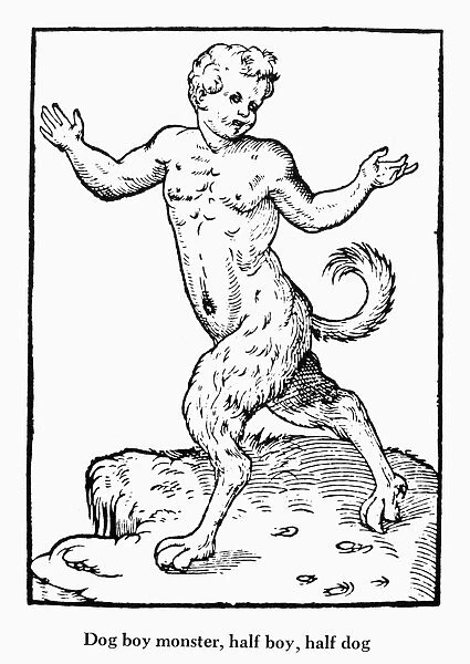 DOG BOY MONSTER, 1573. Half boy, half dog. Woodcut from Pierre Boaistuaus Histoires Prodigieuses