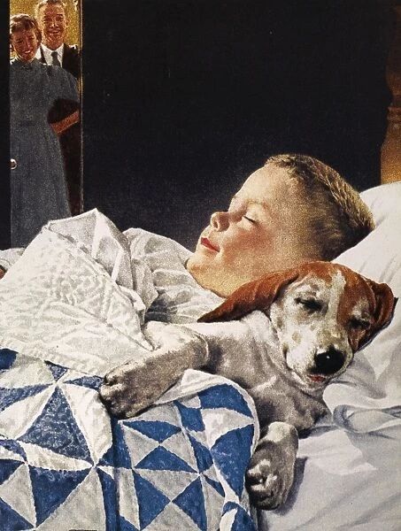 DOG FOOD AD, 1956. A boy sleeping with his pet dog as his parents look on and smile. American advertisement for Friskies dog food, 1956