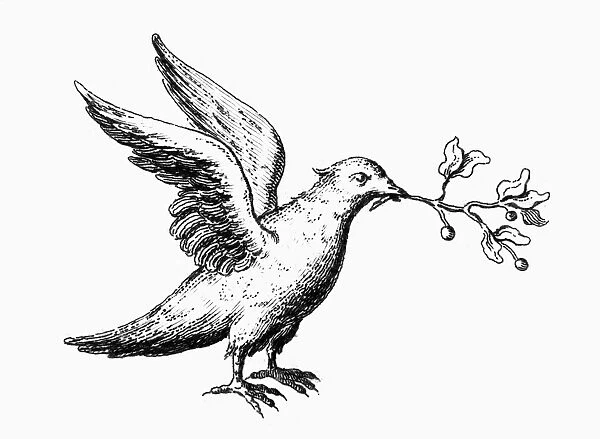 DOVE: NOAHs ARK. Detail of the dove from an 18th century French engraving depicting Noahs Ark