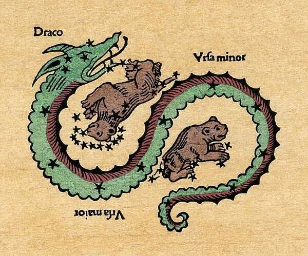 DRACO, 1482. Figuration of the constellations Draco, Ursa Major (Big Dipper), and Ursa Minor