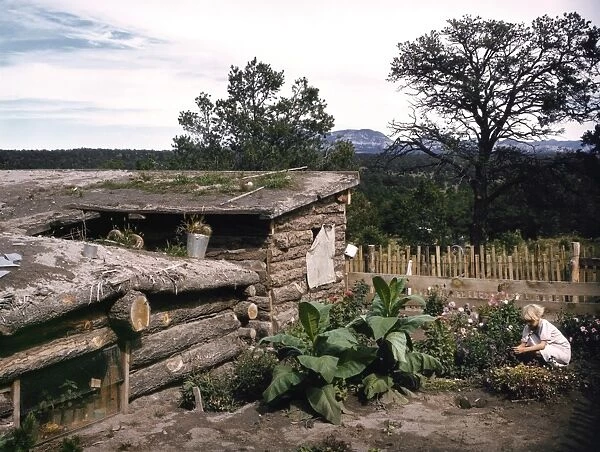 DUGOUT AND GARDEN, 1940. Jack Whinerys dugout home and garden in Pie Town, New Mexico