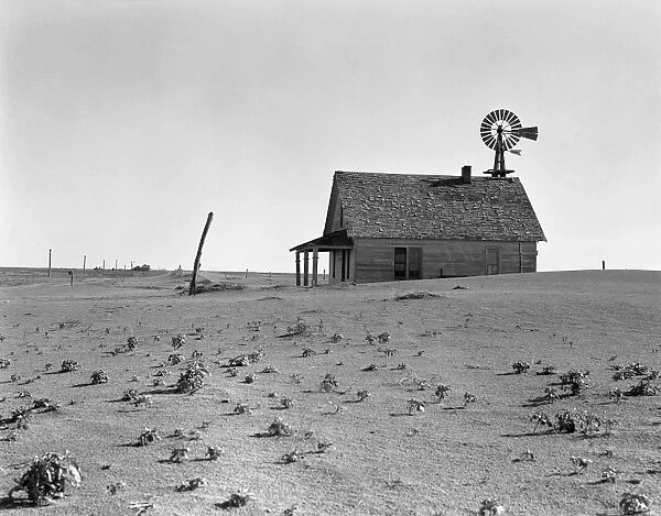 DUST BOWL, 1938. Farmhouse north of Dalhart, Texas
