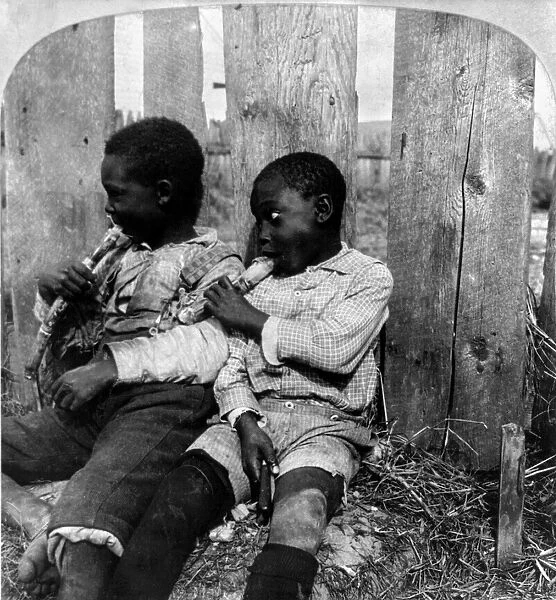 EATING SUGAR CANE, c1901. Two boys eating sugar cane. Stereograph, c1901