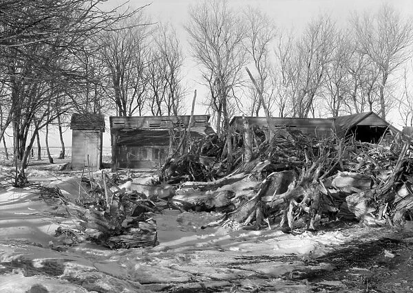 EDGAR ALLEN FARM, 1936. Workers hauled old stumps from highway construction for