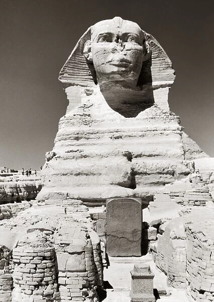 EGYPT: GREAT SPHINX. Frontal view of the Great Sphinx at Giza with the dream stele of King Thutmose IV between its paws. Photograph, mid-20th century