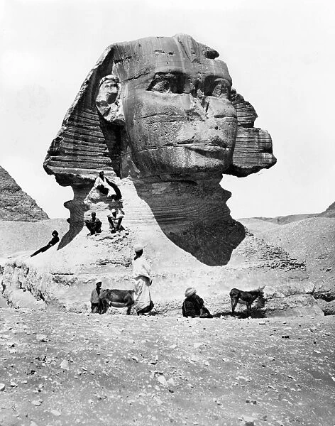 EGYPT: GREAT SPHINX. A view of the Great Sphinx, Giza, Egypt