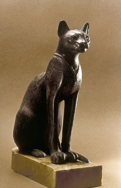 EGYPTIAN BRONZE STATUETTE Statuette of a cat, possibly of the goddess Bastet. Late Dynastic Period