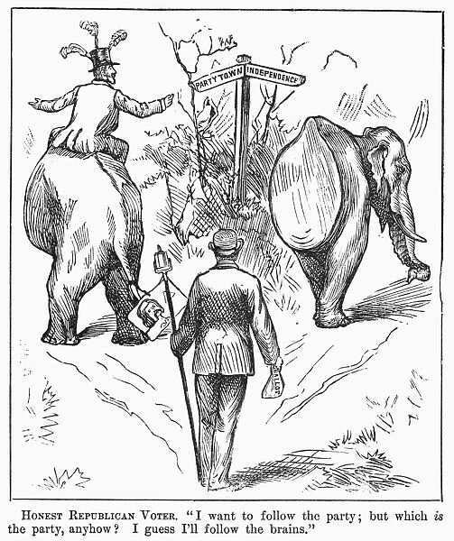 Election Cartoon, 1884