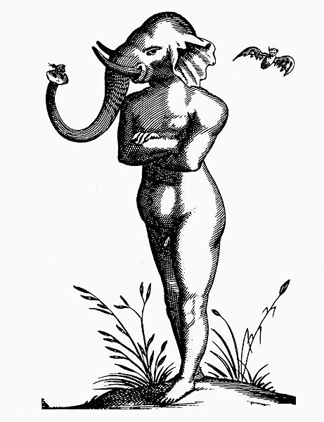 ELEPHANT-HEADED MAN, 1616. Woodcut from Fortunis Licetus De Monstrorum, 1616