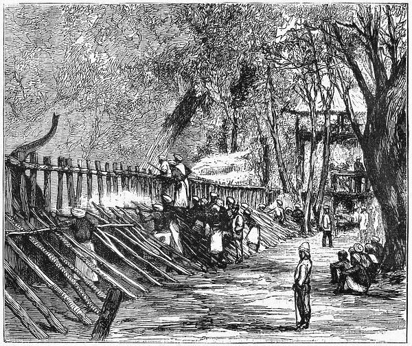 ELEPHANT SHOOTING, 1874. Shooting spare elephants in a corral to control the