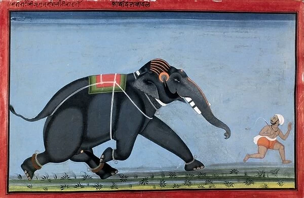 ELEPHANT & TRAINER, c1750. The elephant Dilbadal chasing his trainer. Indian manuscript illumination, Mewar, c1750
