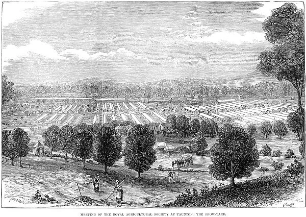 ENGLAND: FARMING, 1875. The show yard at the Royal Agricultural Societys 1875 meeting at Taunton, England. Wood engraving from a contemporary English newspaper