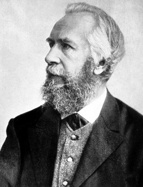 ERNST HEINRICH HAECKEL (1834-1919). German biologist and philosopher