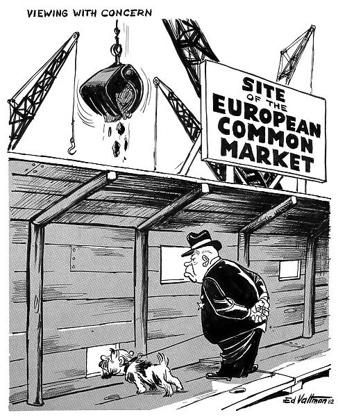EUROPEAN COMMON MARKET. Viewing with concern